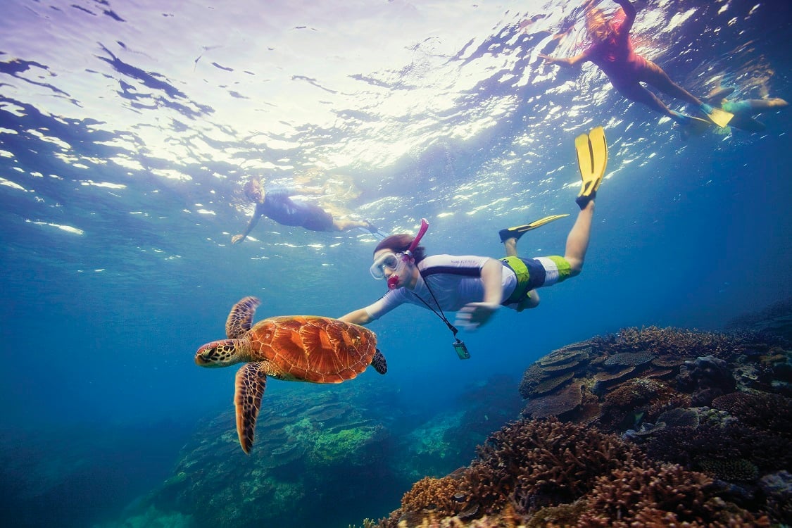 Great Barrier Reef_snorkelling_credit Tourism Australia_644152-19.jpg