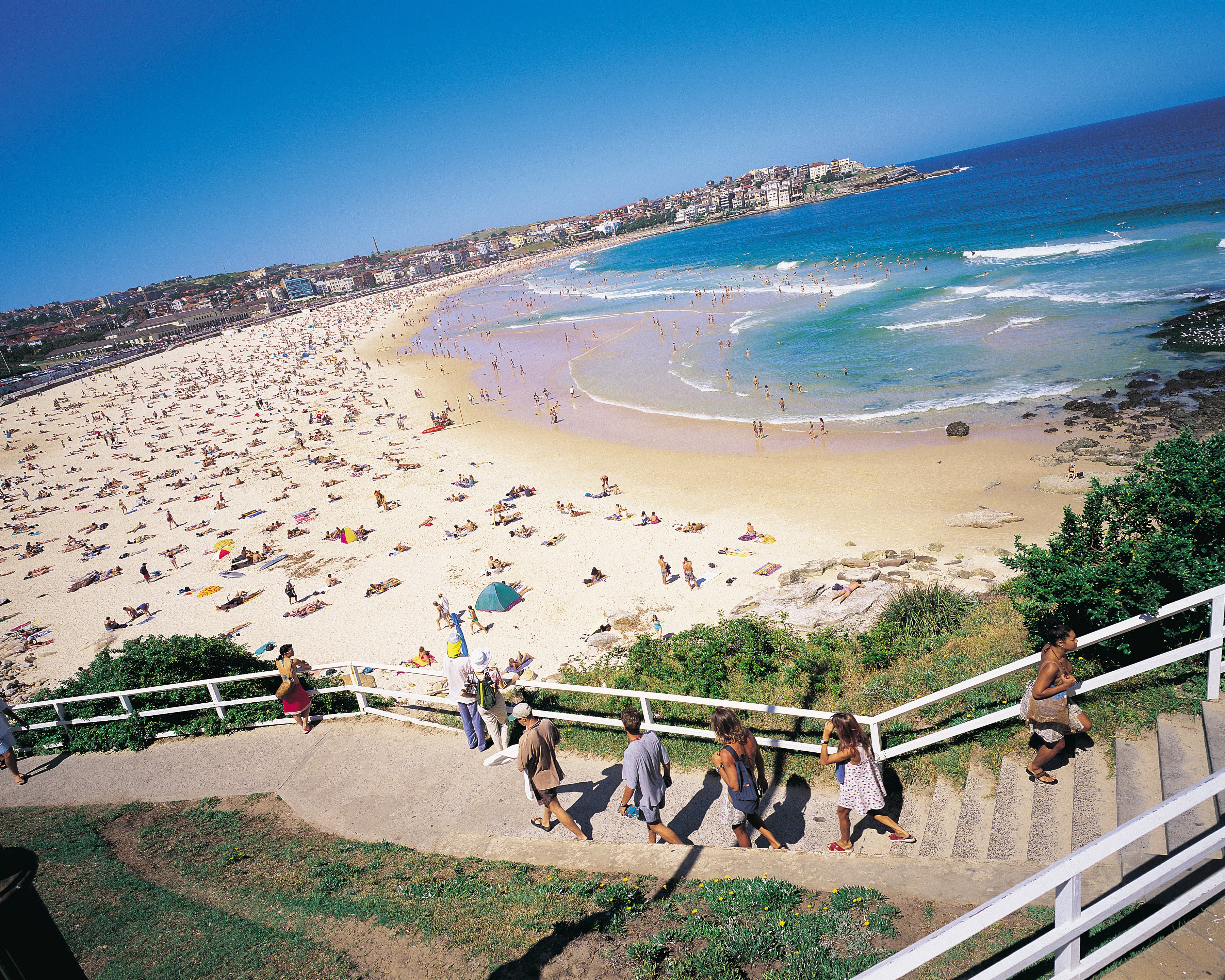 Bondi Beach panorama_Tourism NSW (1).jpg