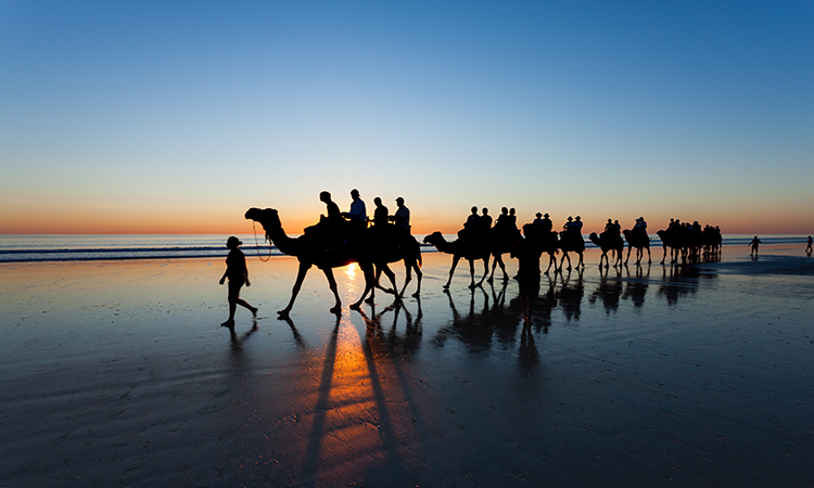 Camel ride on Cable Beach near Broome YHA