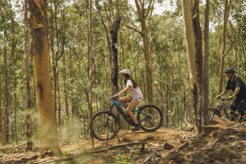 Best mountain biking trails in Queensland