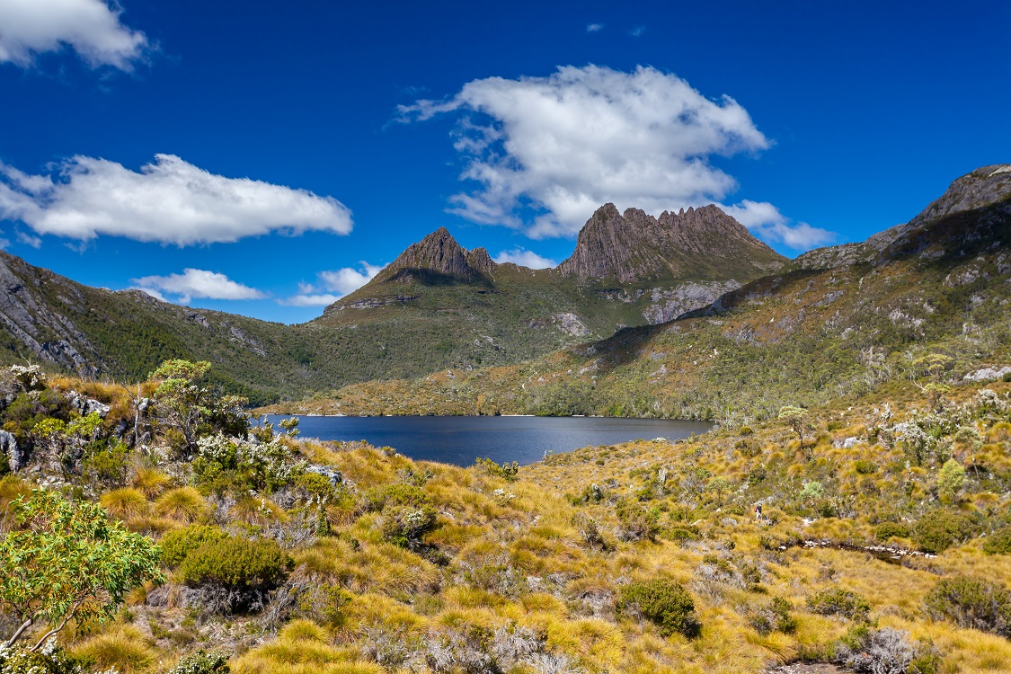 6 Day Tasmania Explorer Tour tile image