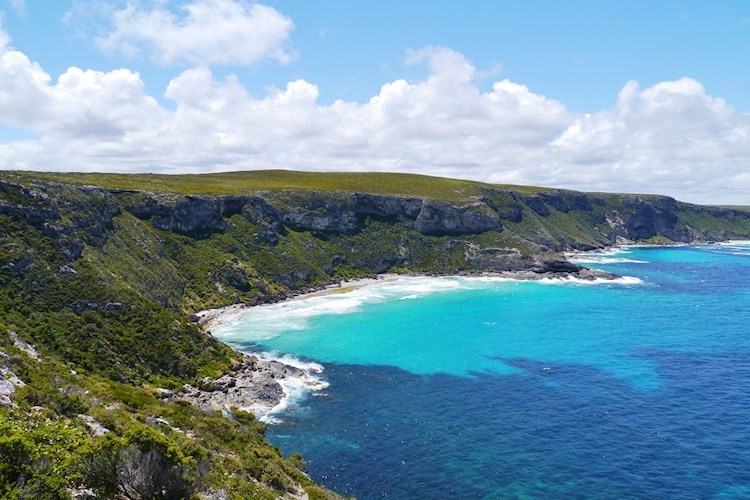 Kangaroo Island- Stunning Coastline