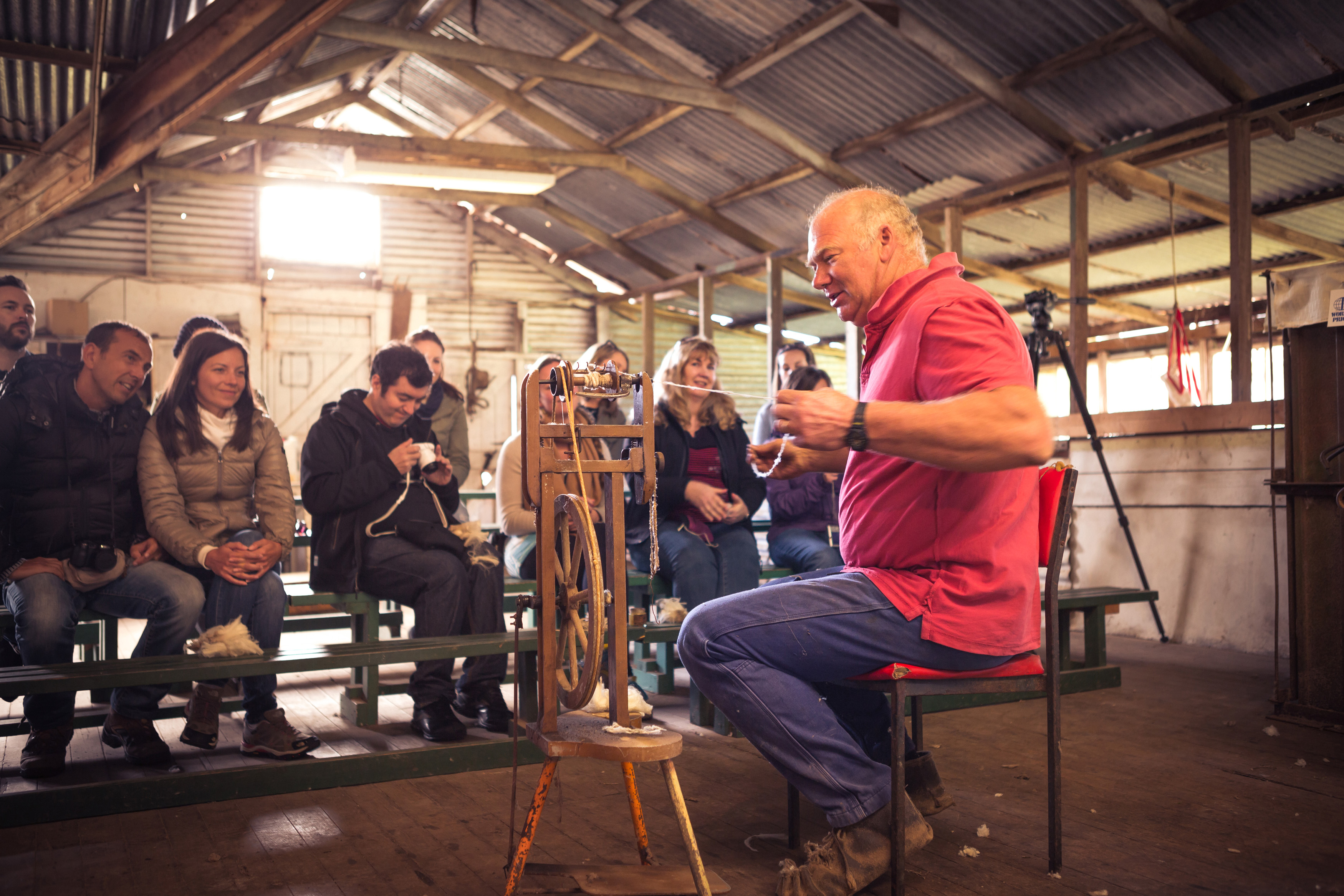 Kangaroo Island Tour- Rob's Sheep Shearing