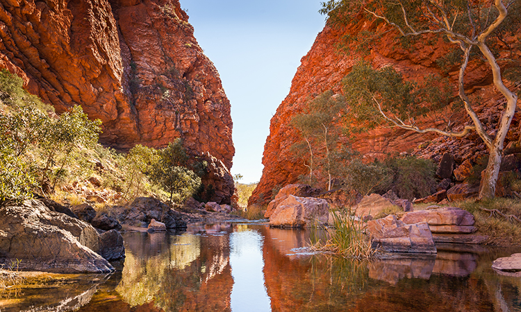 MacDonnell Ranges NT