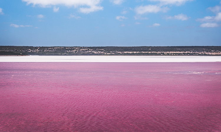 Pink Lake WA
