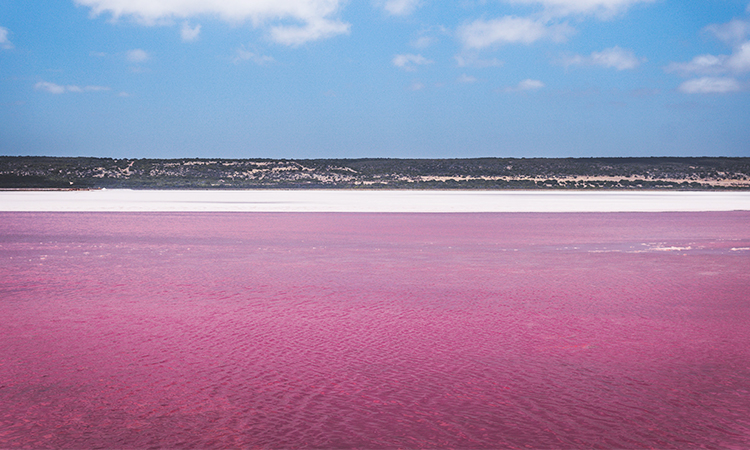 Pink Lake WA