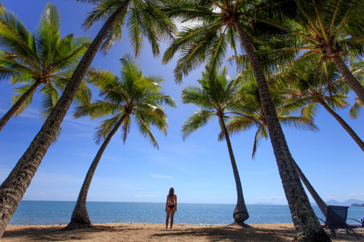 Palm Cove 