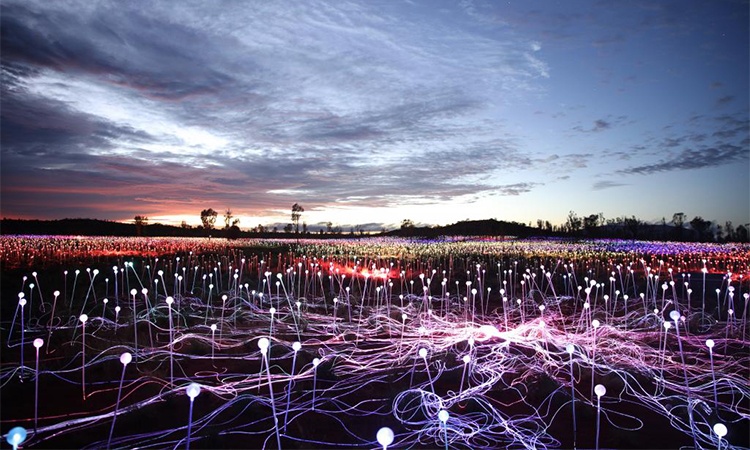 Field of Light, Uluru