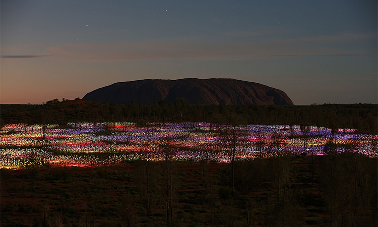 Field of Light, Uluru