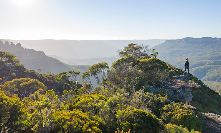 Blue Mountains YHA - Mountain Views - Best Road Trip Sydney