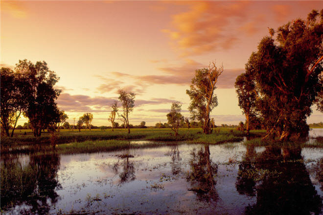 shutterstock_kakadu web.jpg