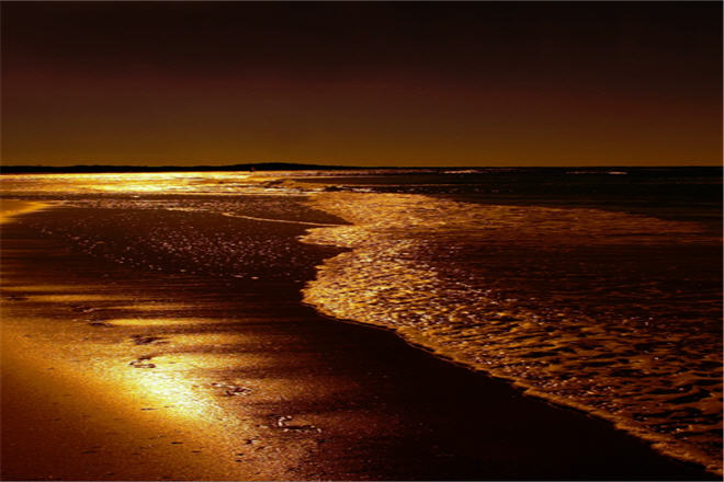 Sunshine Beach - Shutterstock