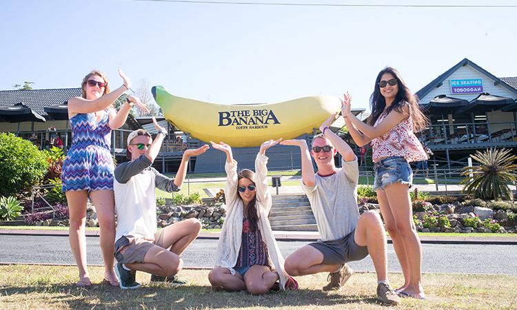 Visit the Coffs Harbour Big Banana