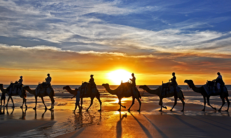 Broome Sunset Camel Ride