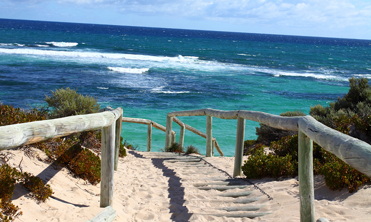 Rottnest Island Quokka Island