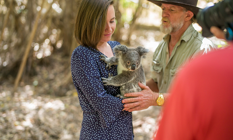 Even grownups need a good koala cuddle!