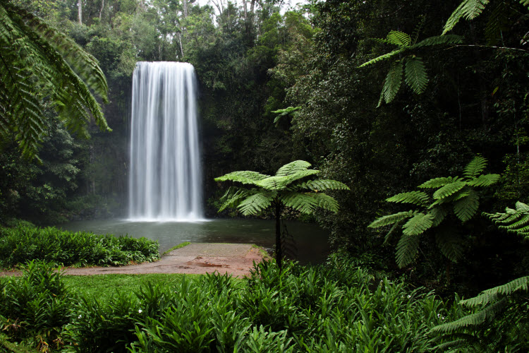 Millaa Millaa Falls