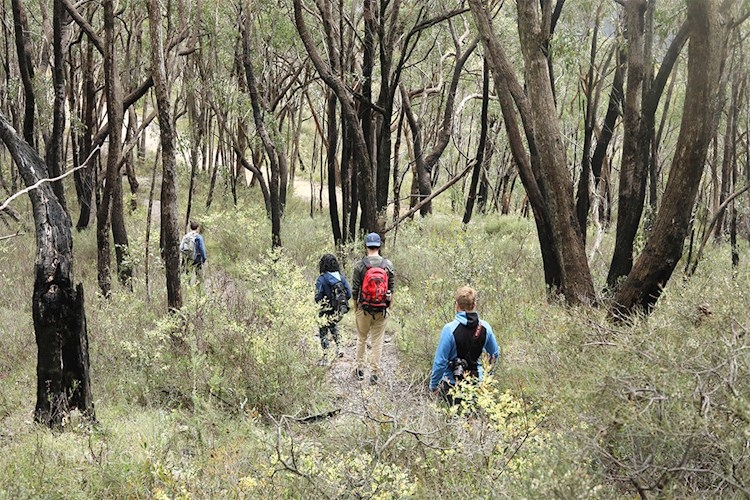 Mt Lofty Yha Backpackers Hostel Yha Australia