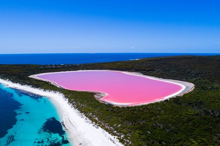 Esperance Lake Hillier Credit Tourism WA