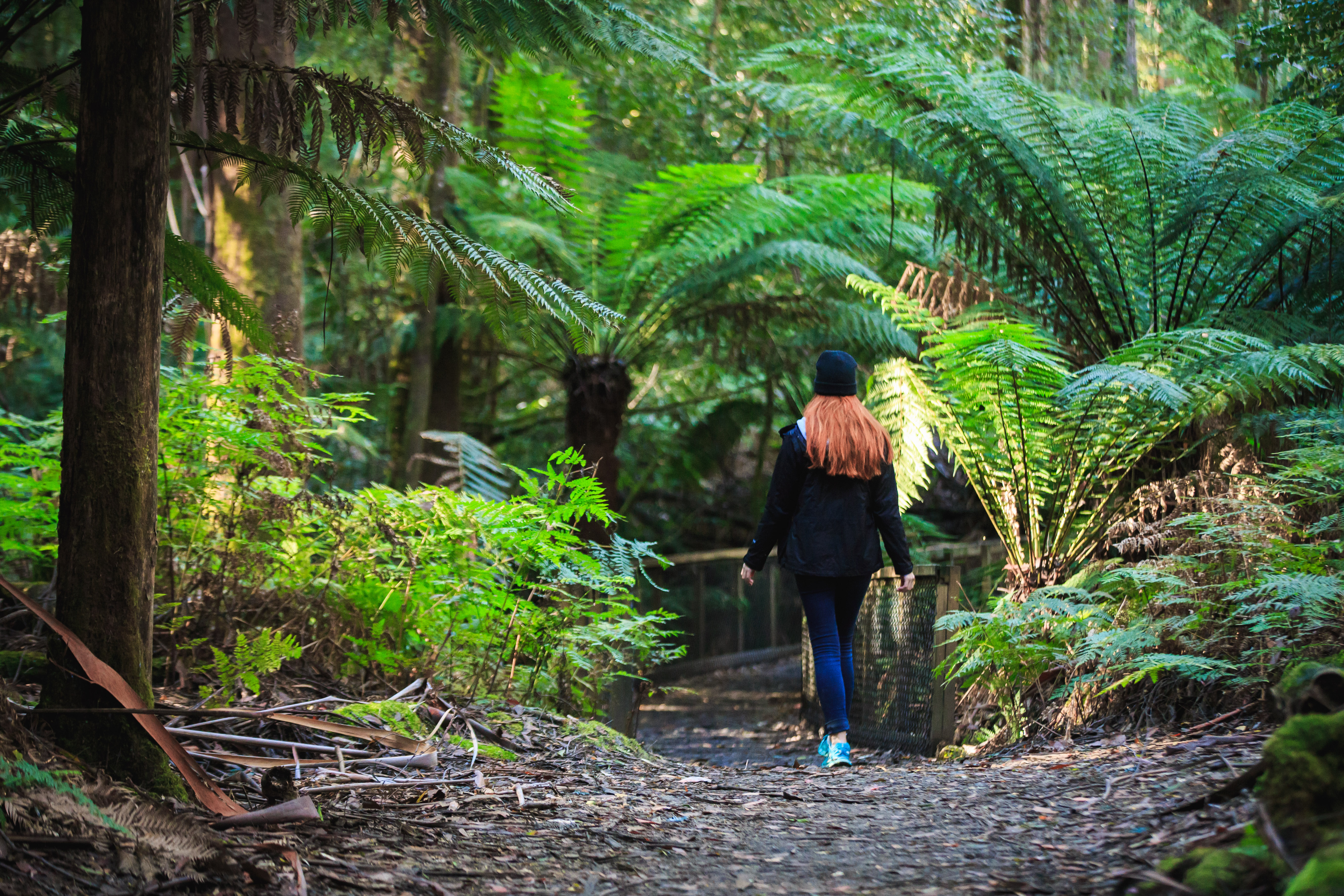 Hobart Central YHA_Mount Field National Park_2017 (104).jpg