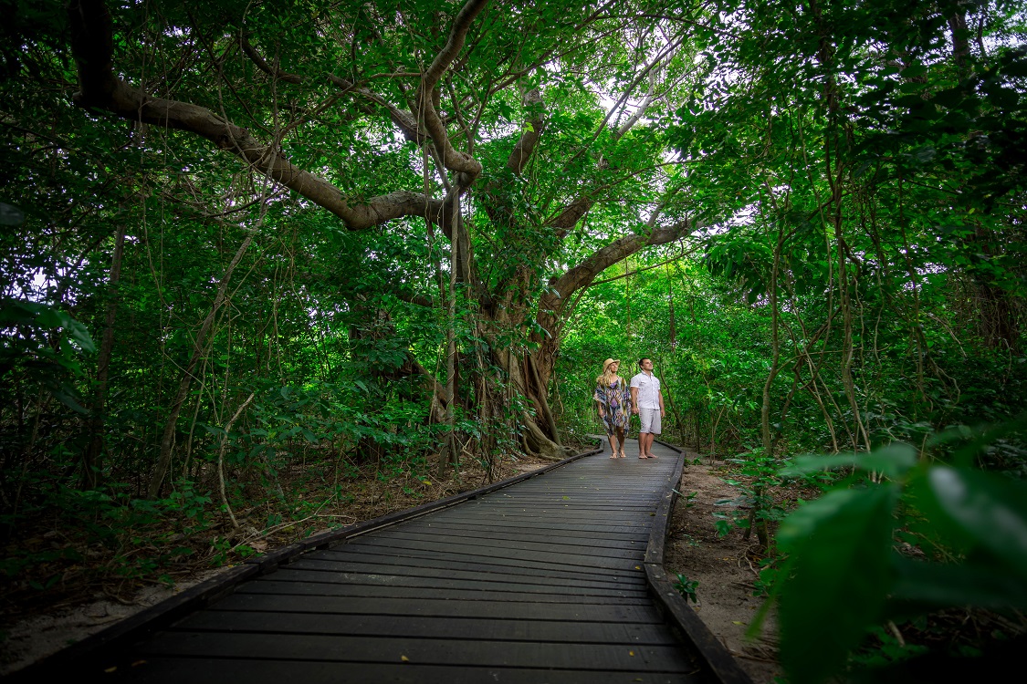 green_island_rainforest_walk - Copy.jpg