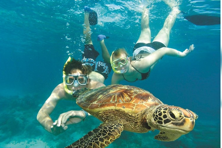 1 Day Green Island Tour YHA Australia