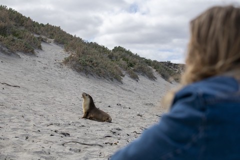 A brief guide to responsible wildlife encounters