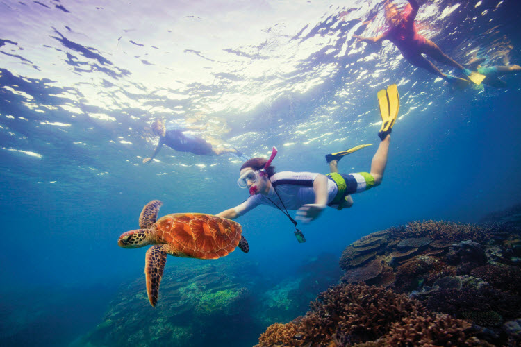 10. Great Barrier Reef_snorkelling_credit Tourism Australia_644152-19