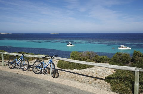 Rottnest Island day tour including bicycle hire from Fremantle tile image