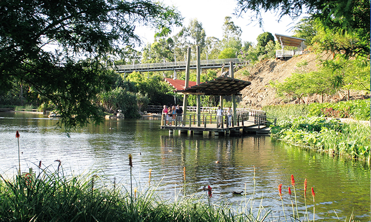 Roma Street Parklands Image: Tourism and Events Queensland