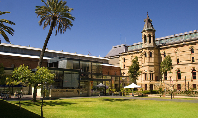 South Australian Museum Brett Sheridan SATC.jpg