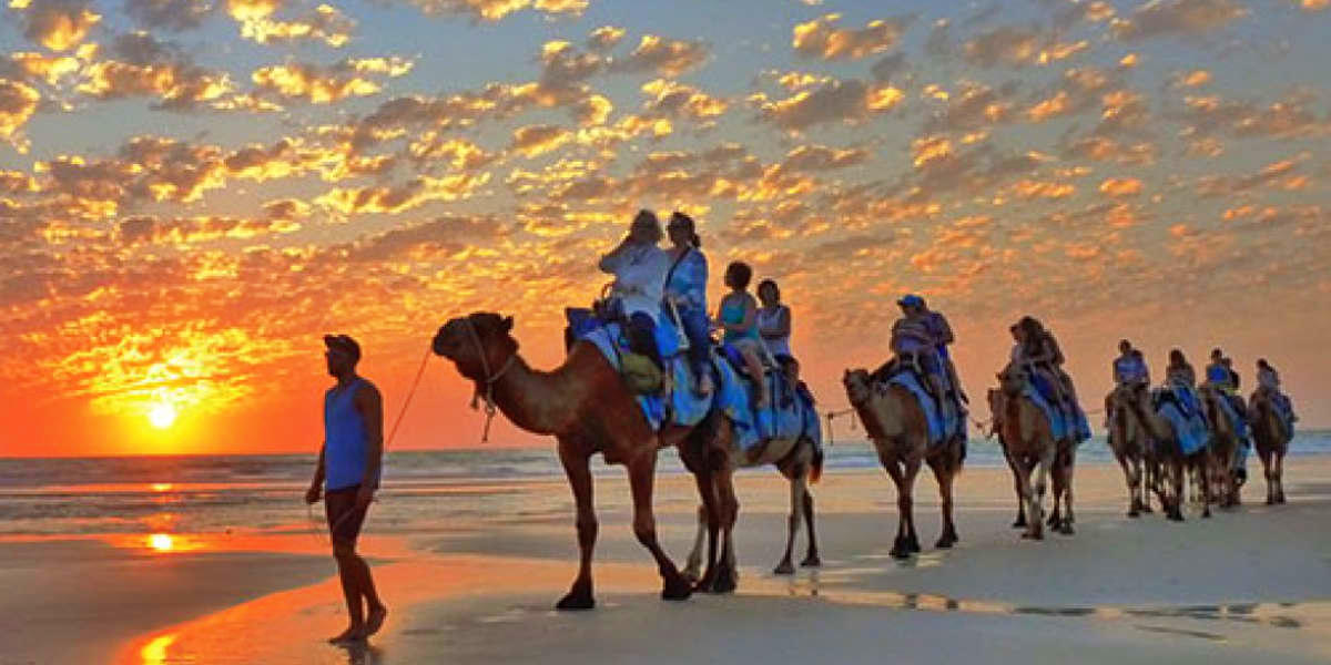 Broome Sightseeing Tour With Optional Camel Ride tile image