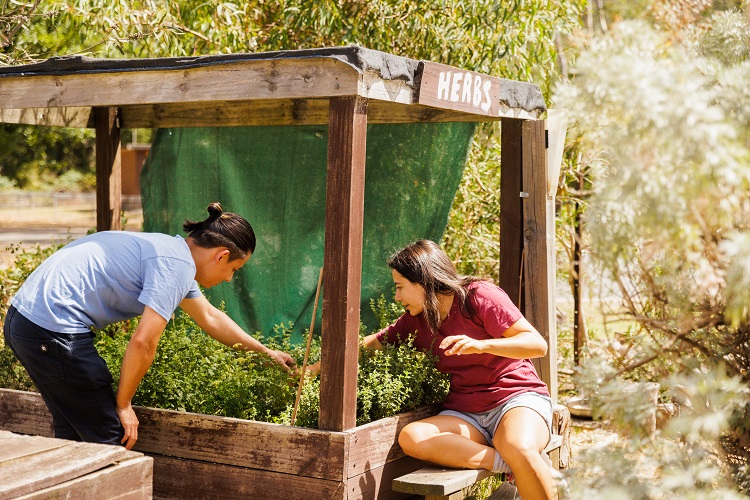 SustainableStays_YHAGrampians_HerbGarden.jpg