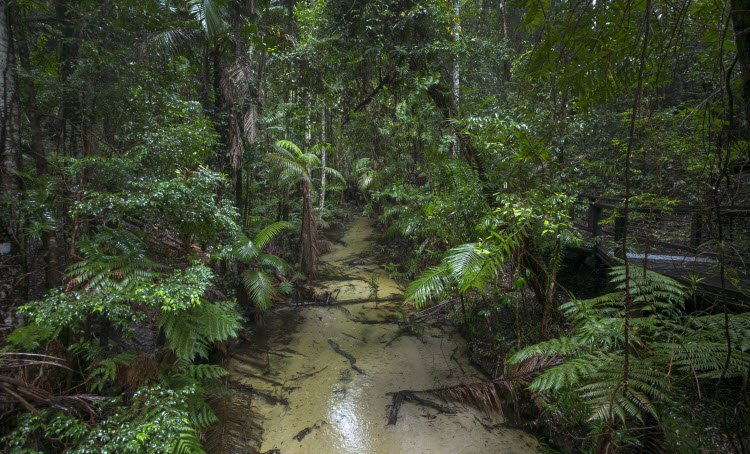 Fraser Island