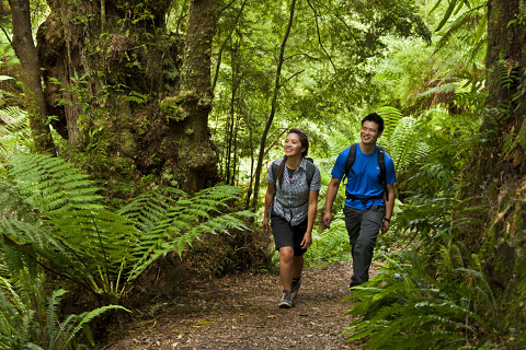 Great Australian walks