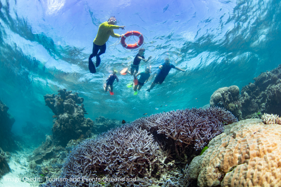 Dreamtime Cruise- Guided Snorkel.png