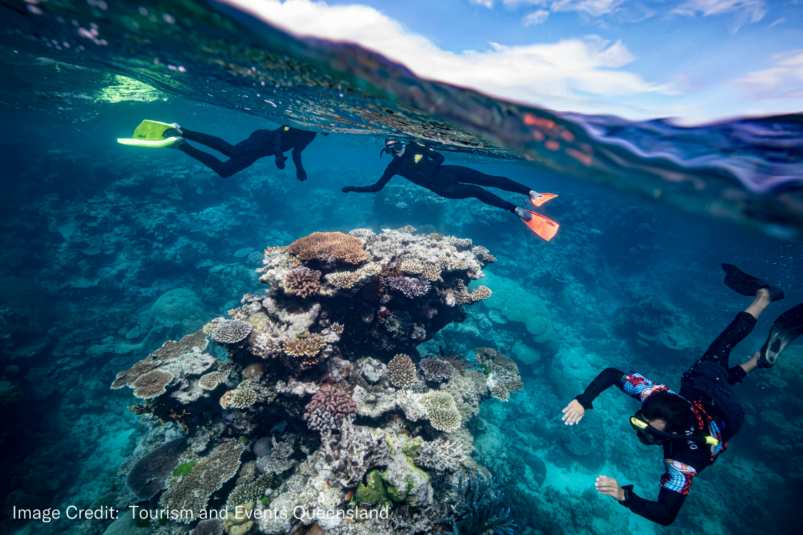 Dreamtime Cruise- Snorkellers.png