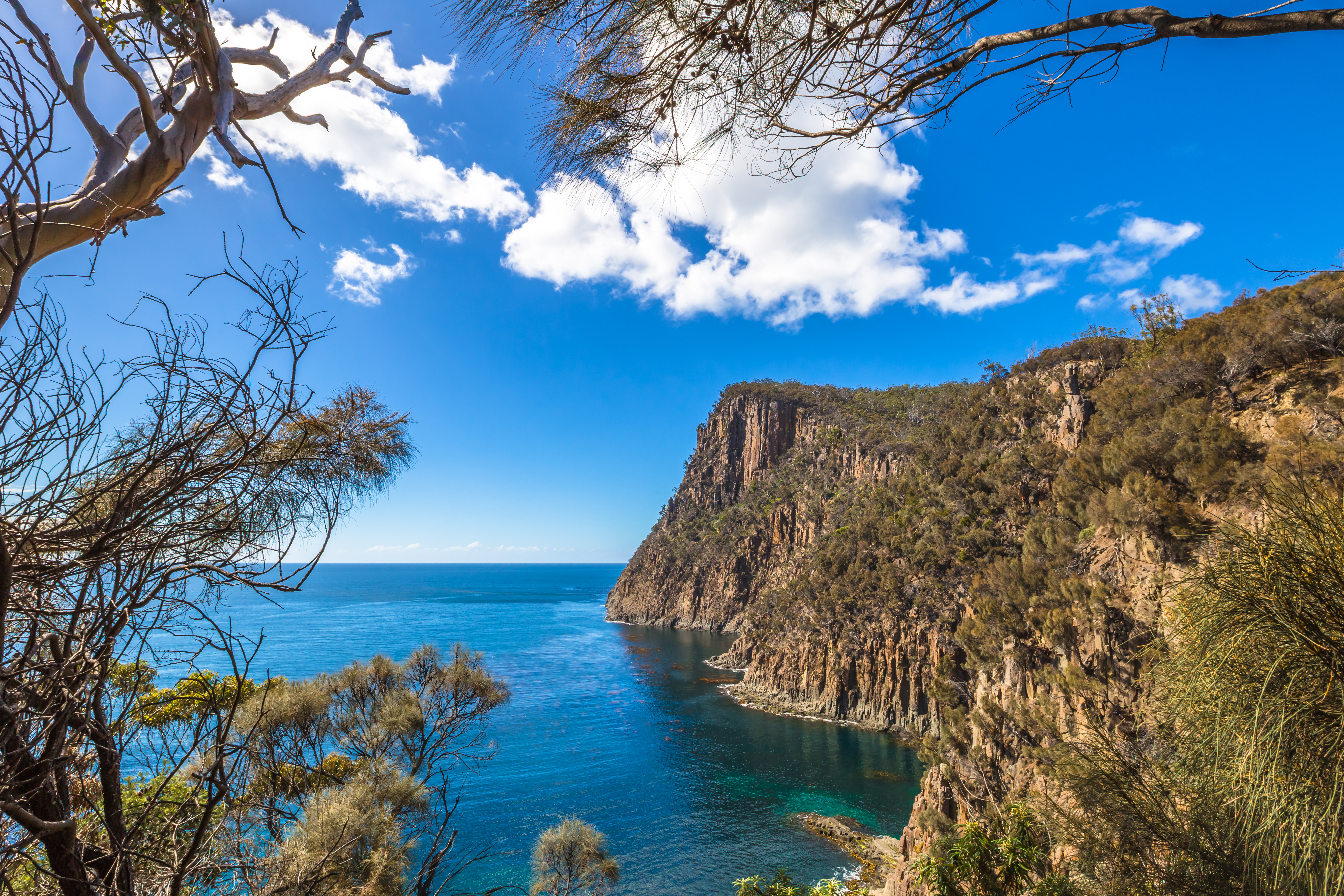 Bruny Island Fluted Cape_Benny Marty.jpg