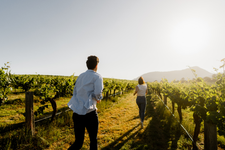 Thinking about Tuscany? Go to the Grampians