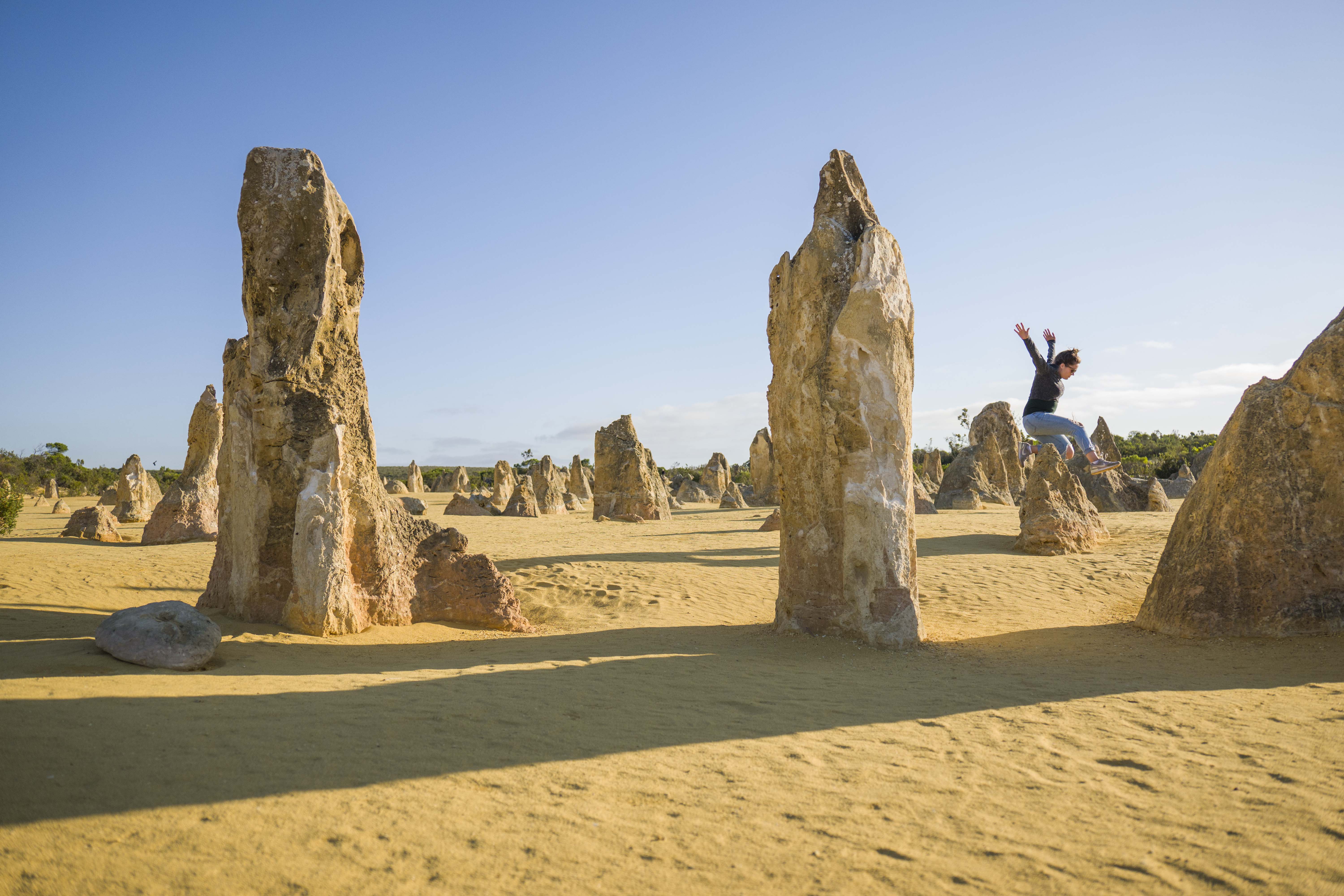 1 Day Pinnacles Tour tile image