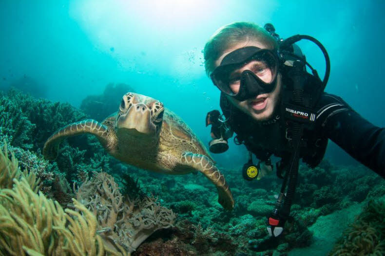 Great Barrier Reef Snorkelling Adventure- Selfie with a turtle.jpg