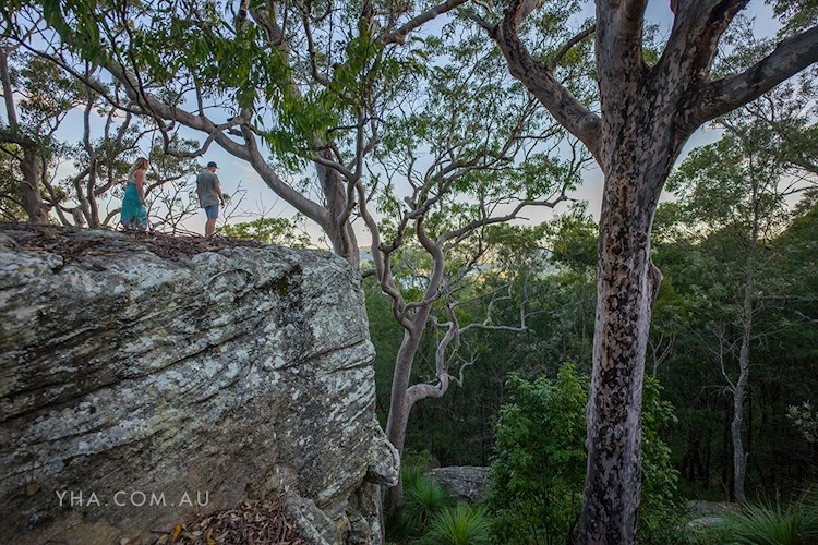 Bushwalks Surrounding Pittwater YHA