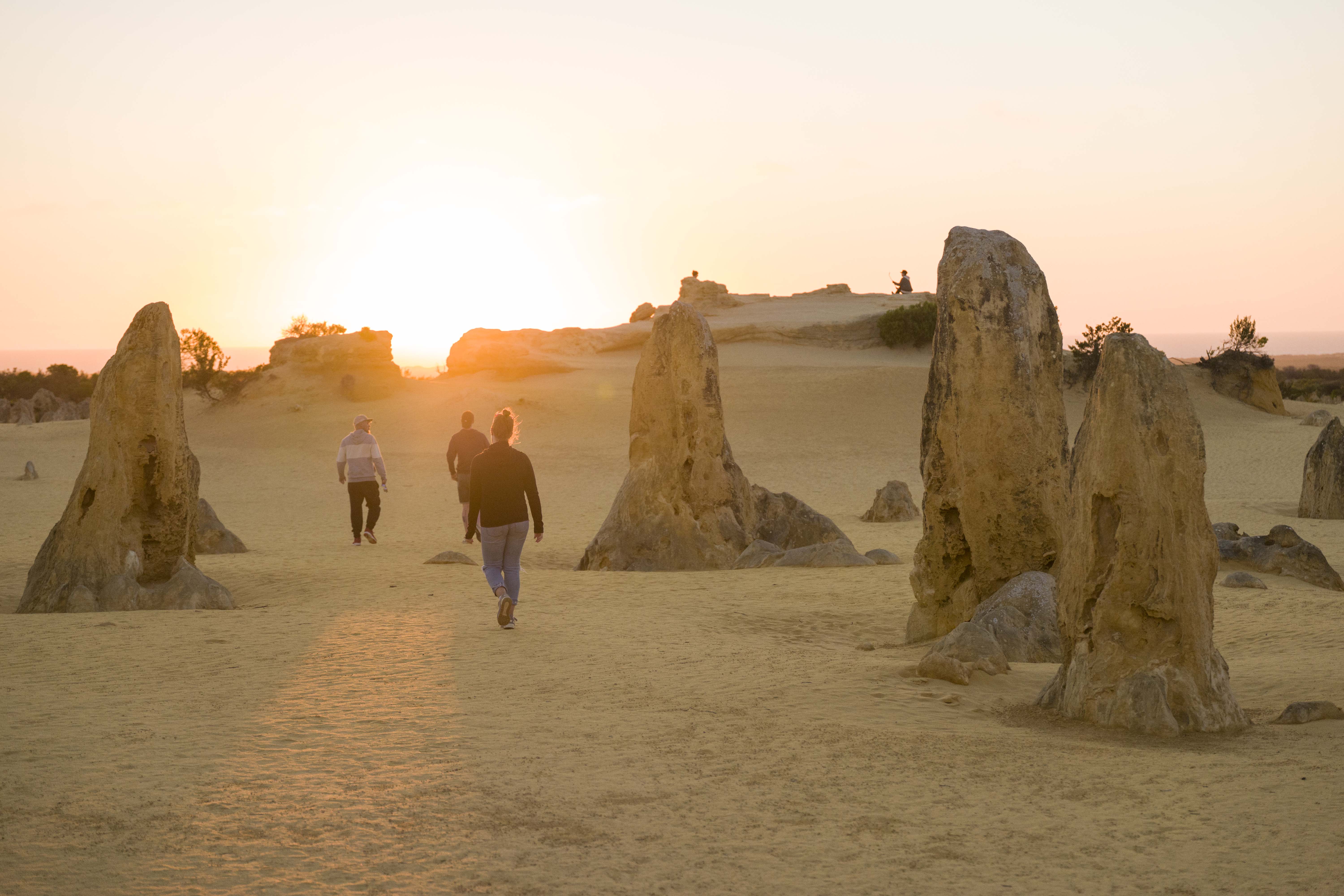 Lancelin YHA_The Pinnacles_2018 (45).jpg