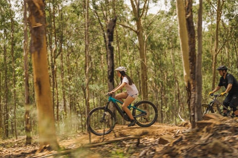 Best mountain biking trails in Queensland