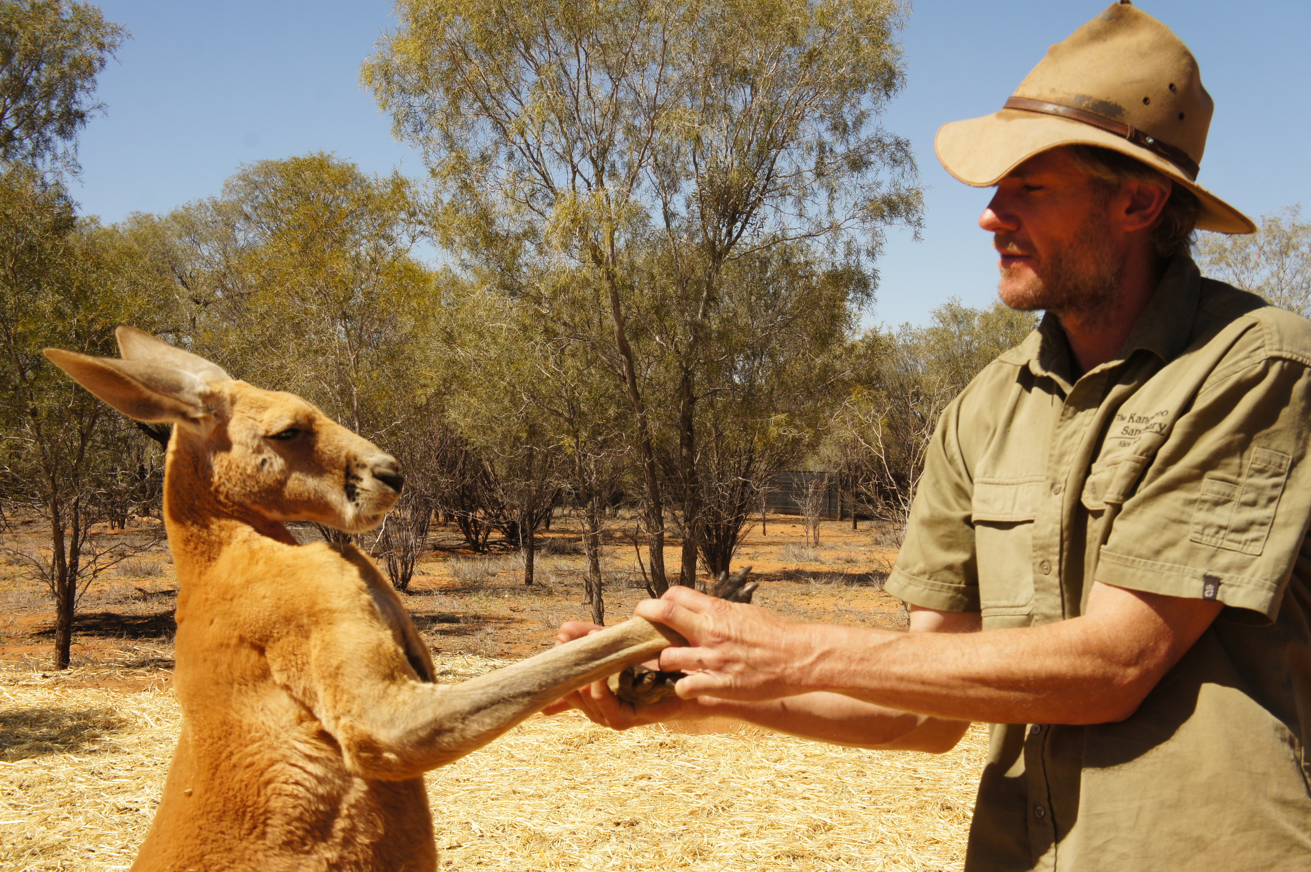 Alice Springs YHA_The Kangaroo Sanctuary_2014 (5).jpg