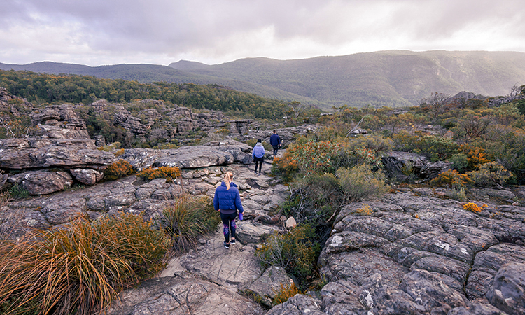 grampians-eco-yha_pinnacle-hike_winter_2018-63-edited.jpg