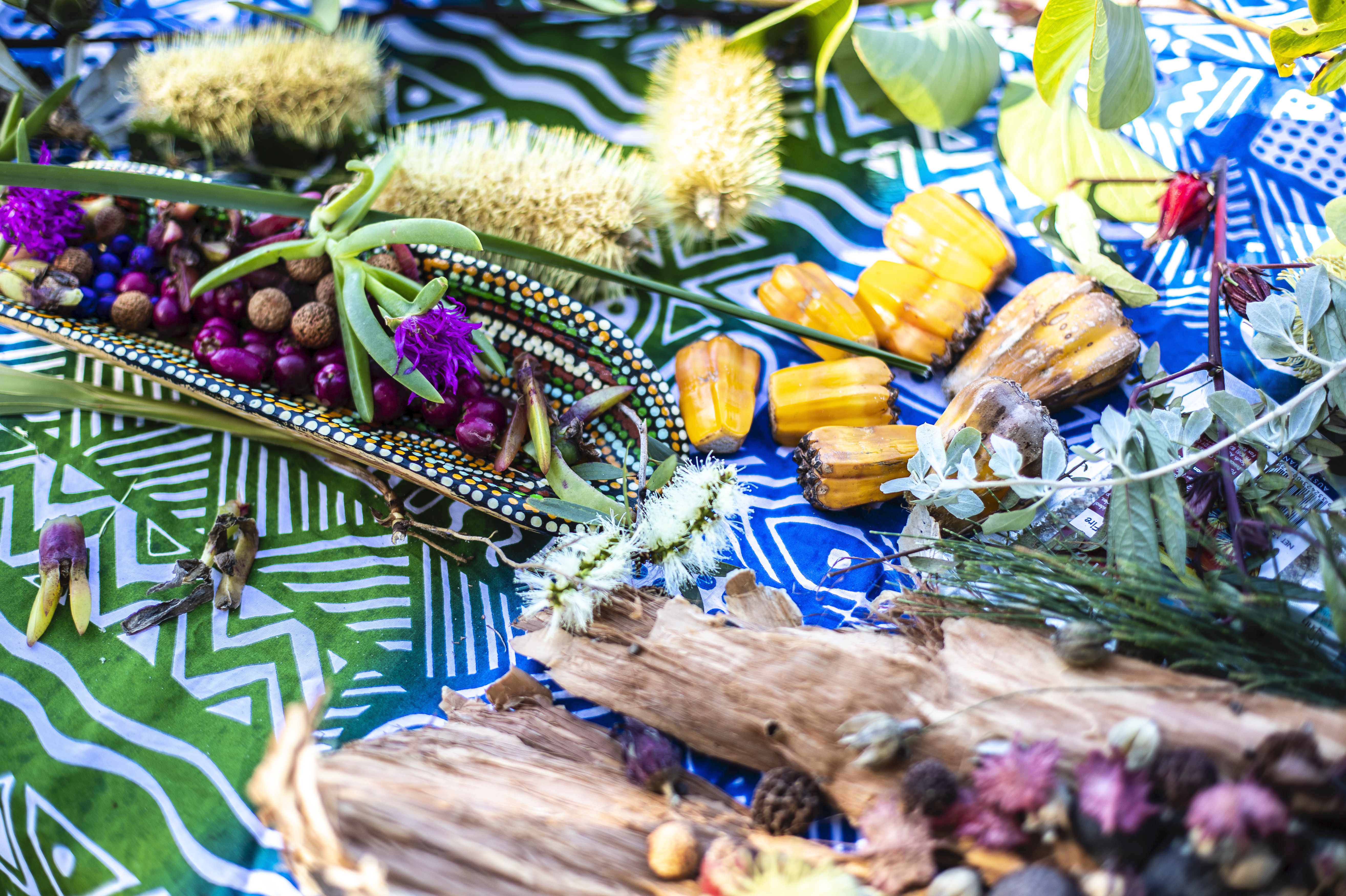 First Nations food experiences in New South Wales