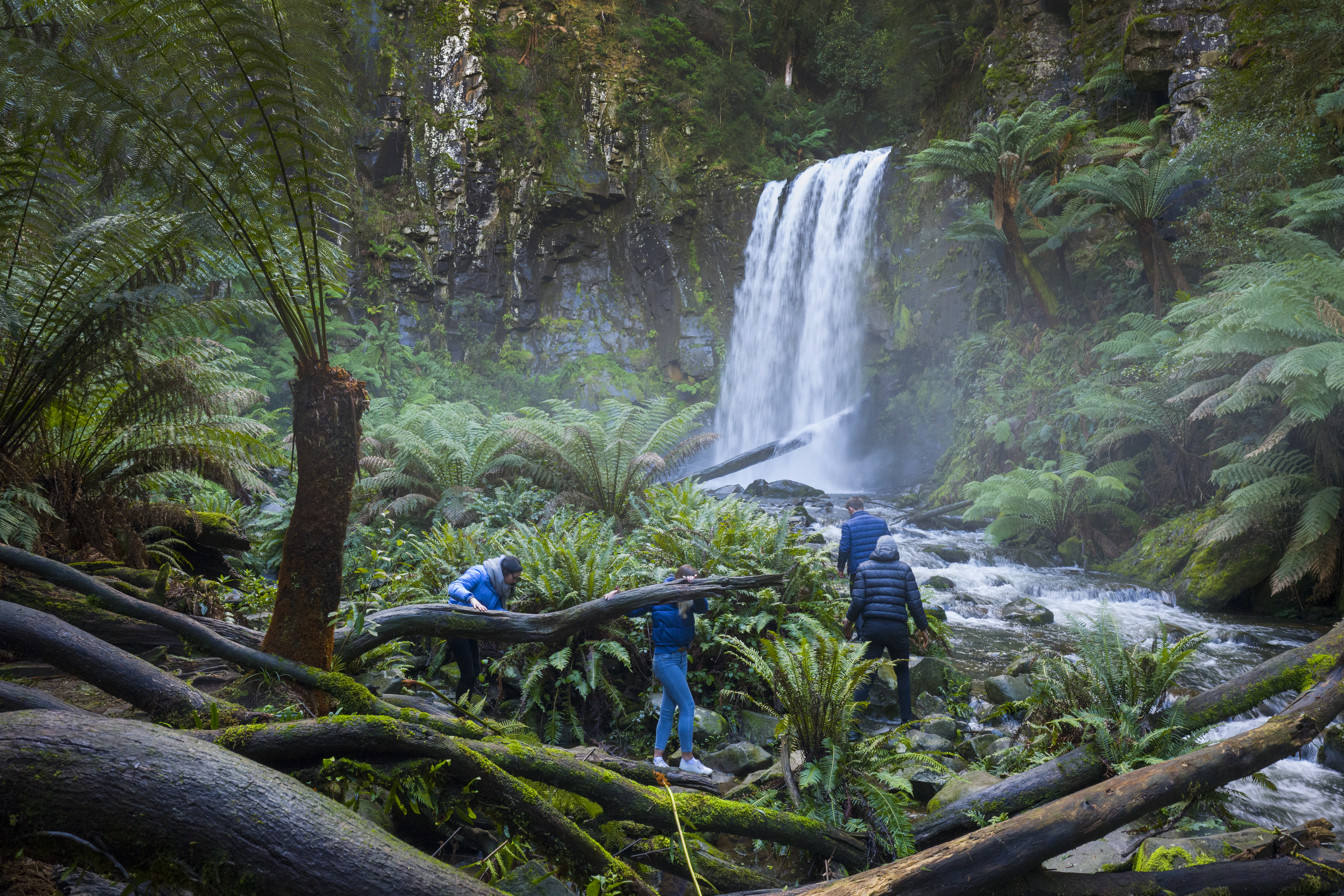 Apollo Bay Eco YHA_Hopetoun Falls_winter_2018 (2) copy.jpg