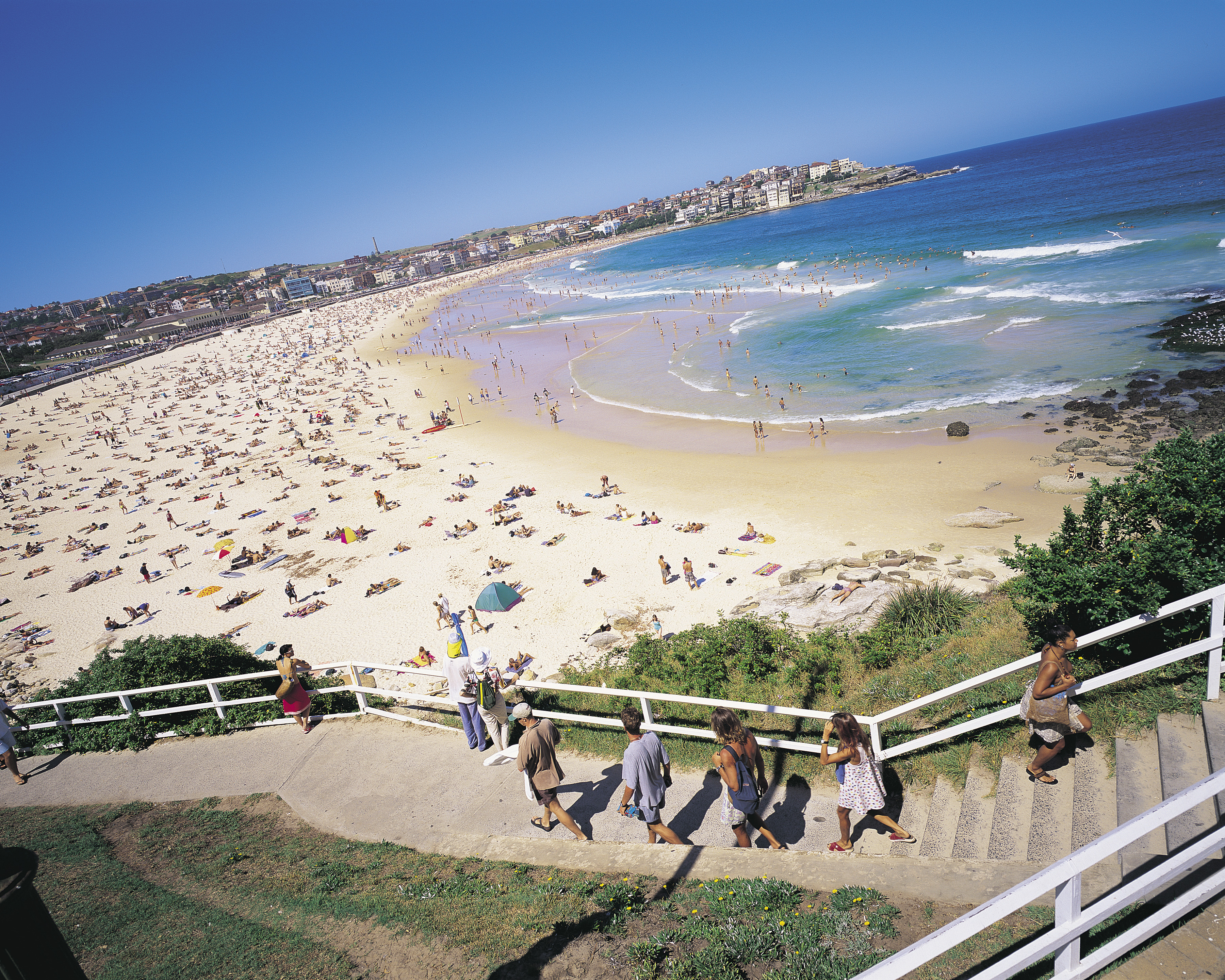 Bondi Beach panorama_Tourism NSW (1).jpg