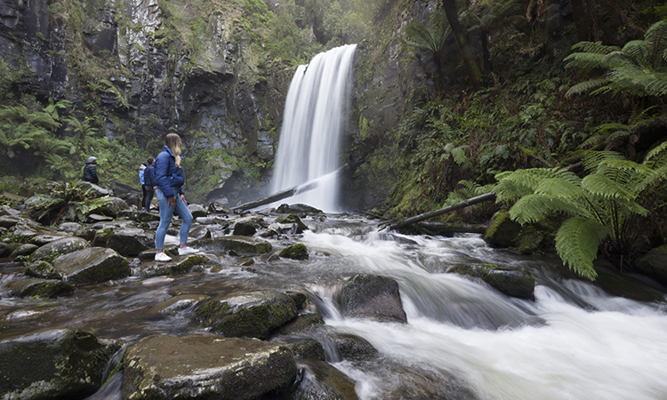 Check out Hopetoun Falls near Apollo Bay Eco YHA - things to do this winter